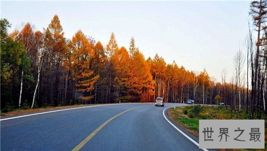 中国第一条高速沪嘉高速,掀起中国高速公路建设史新篇章!