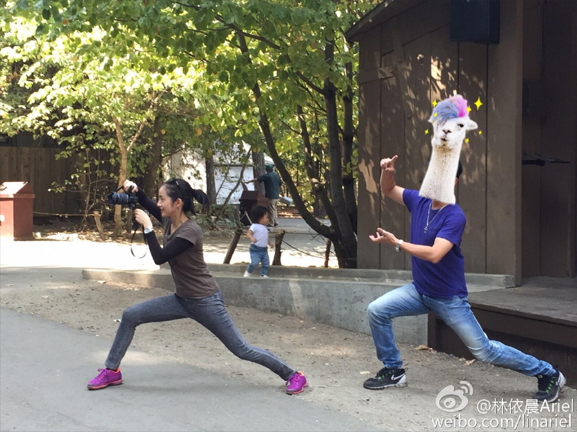 林依晨26岁为还债6年狂工作挨到生脑瘤 术后状况曝光:学会珍惜