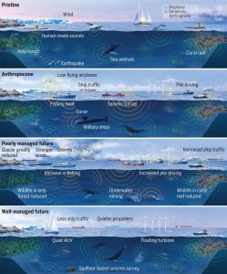​长须鲸的歌唱可被用来探查海底地壳结构的地震波源
