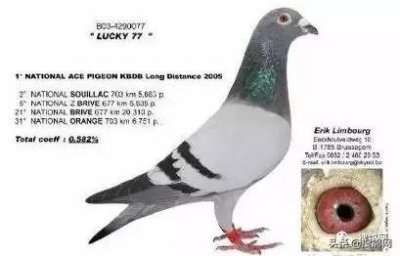 ​卡奥尔干红葡萄酒1999(卡奥尔干红葡萄酒2014价格)