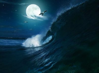 ​涨潮退潮时间表（今天涨潮退潮时间表）