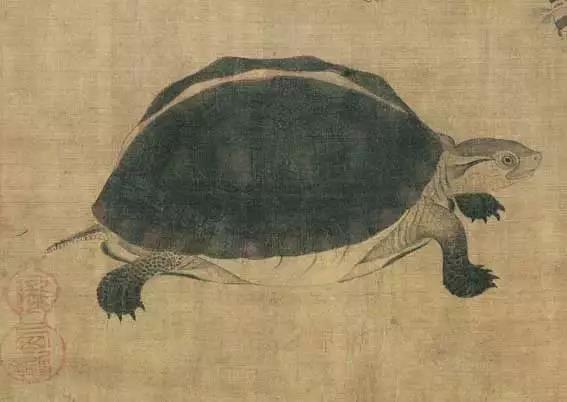 黄筌写生珍禽图赏析(含高清图)