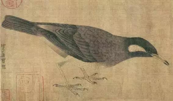 黄筌写生珍禽图赏析(含高清图)