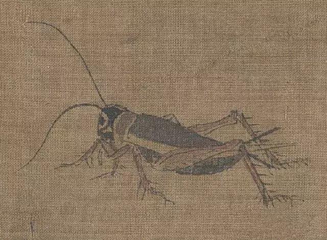 黄筌写生珍禽图赏析(含高清图)