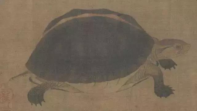 黄筌写生珍禽图赏析(含高清图)