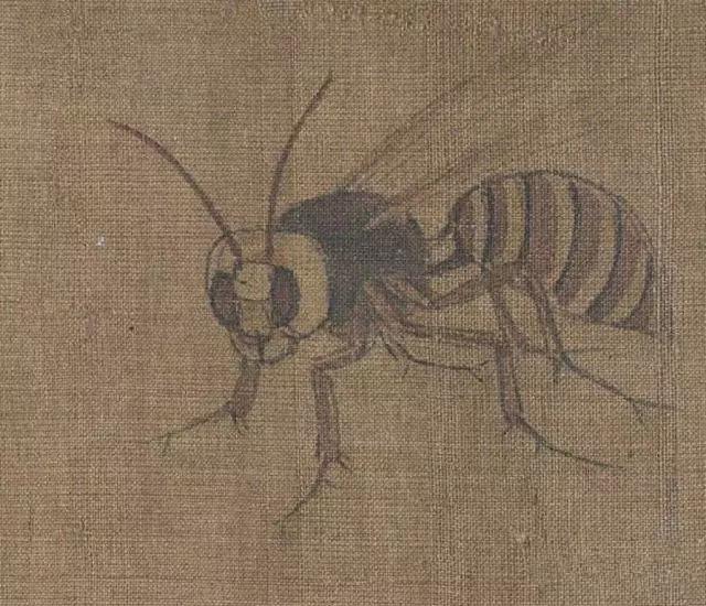 黄筌写生珍禽图赏析(含高清图)