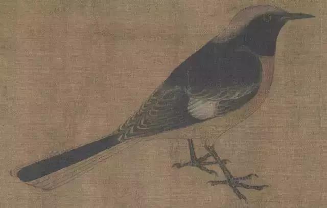 黄筌写生珍禽图赏析(含高清图)