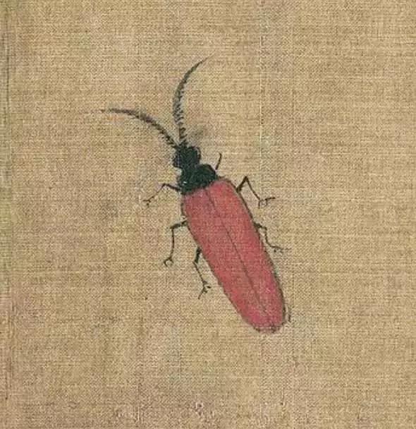 黄筌写生珍禽图赏析(含高清图)