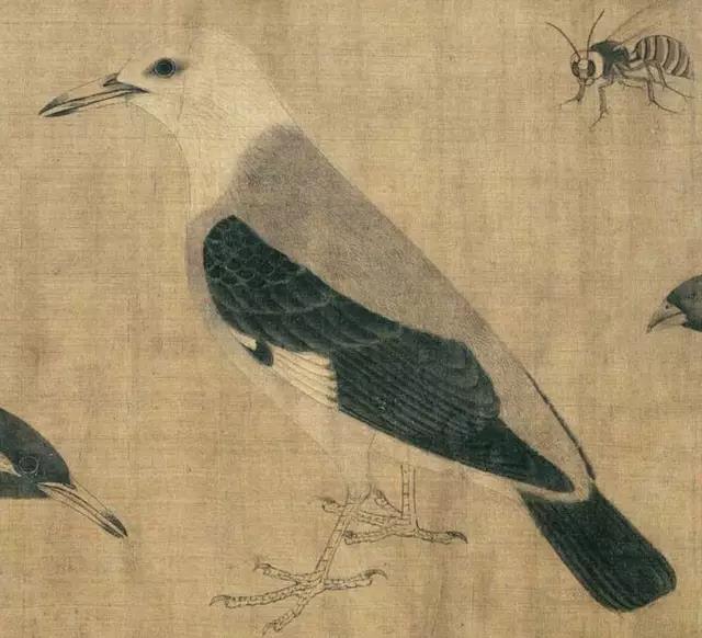 黄筌写生珍禽图赏析(含高清图)