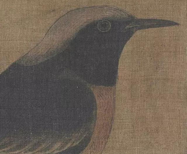 黄筌写生珍禽图赏析(含高清图)