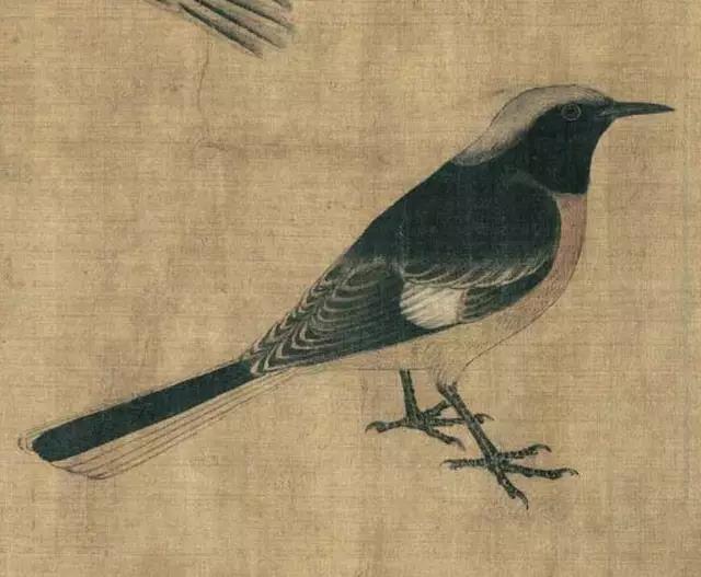 黄筌写生珍禽图赏析(含高清图)