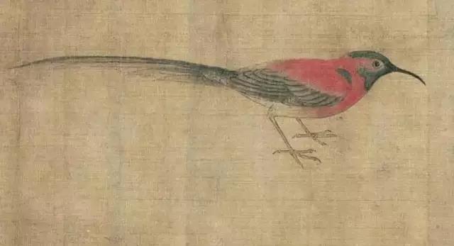 黄筌写生珍禽图赏析(含高清图)