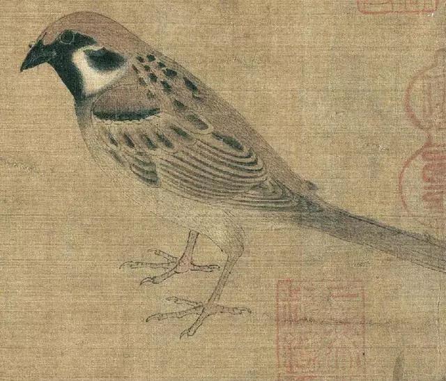 黄筌写生珍禽图赏析(含高清图)