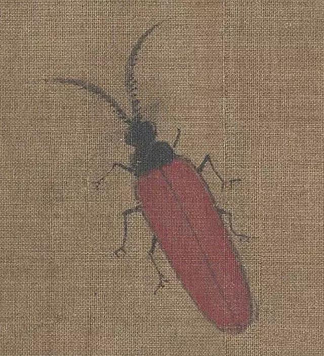 黄筌写生珍禽图赏析(含高清图)