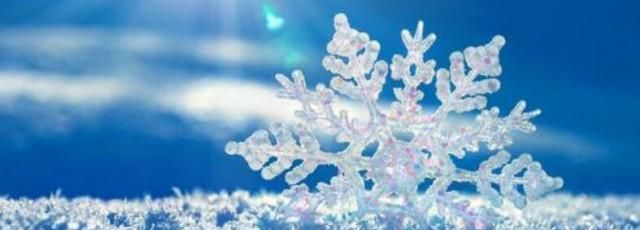 冬天落叶句子短句唯美发朋友圈