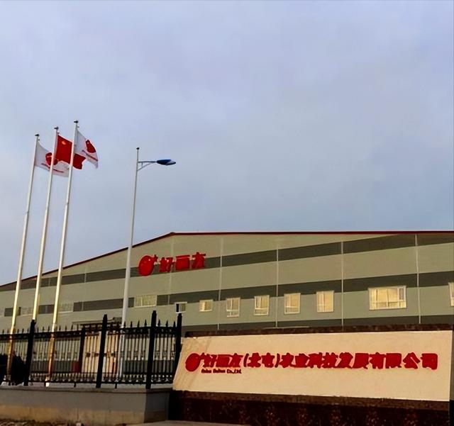 好丽友派所属哪个国家（好丽友入侵中华30年）(13)