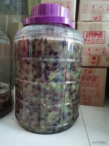 ​葡萄酒发酵几天去除皮？葡萄酒发酵几天搅拌一次