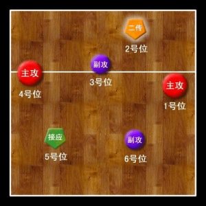​排球队员如何站位