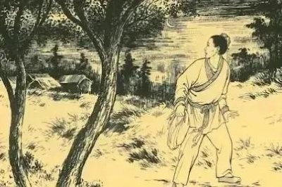 ​瓜地的风流案