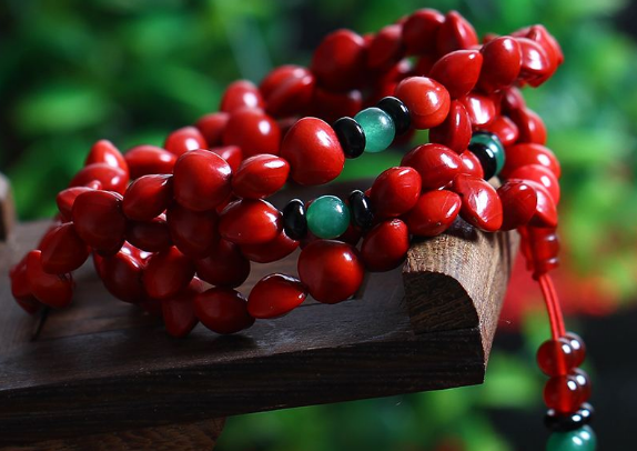 相思豆是什么树的果实,愿君多采顾此物最相思图3