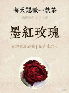 ​每日认识一款茶 | 女神抗衰必备 | 花青素之王·墨红玫瑰