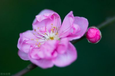 ​男生对你越客气就是越，一个人对你越来越客气