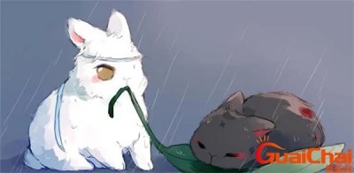 ​夺舍是什么意思网络用语 夺舍是什么意思饭圈