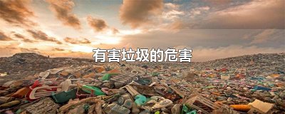 ​有害垃圾的危害