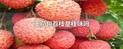 ​玉荷包荔枝是桂味吗