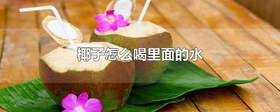 ​椰子水喝了有什么好 椰子怎么喝水啊