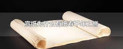 ​宣纸为什么有纸寿千年之誉