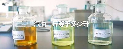 ​汽油一斤等于多少升