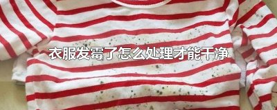 ​衣服发霉了怎么处理才能干净