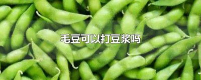 ​毛豆可以打豆浆吗
