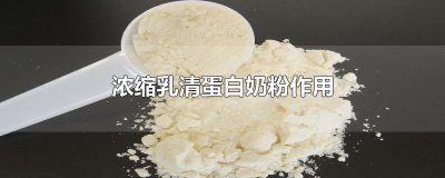 ​浓缩乳清蛋白奶粉作用