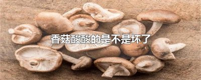 ​香菇酸酸的是不是坏了