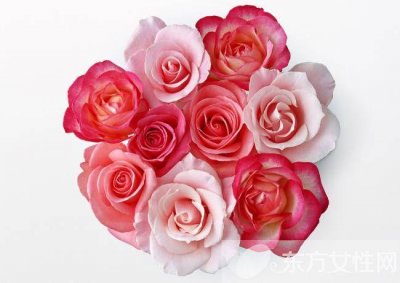 ​几朵玫瑰代表什么（1-10朵玫瑰的含义介绍）
