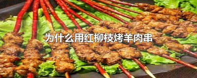 ​为什么用红柳枝烤羊肉串