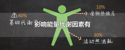 ​影响能量代谢的因素有