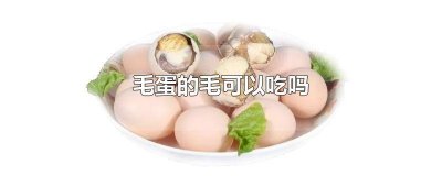 ​毛蛋上面的毛也吃吗 有毛的毛蛋能吃吗