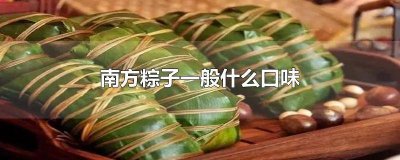 ​南方人粽子什么口味 南北方粽子口味