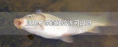 ​活鱼不杀直接冷冻可以吗