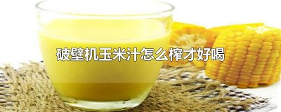 ​破壁机玉米汁怎么榨才好喝