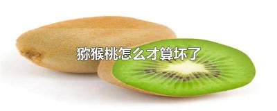 ​猕猴桃怎么才算坏了 猕猴桃怎么就算坏了