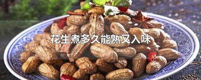 ​花生煮多久能熟又入味