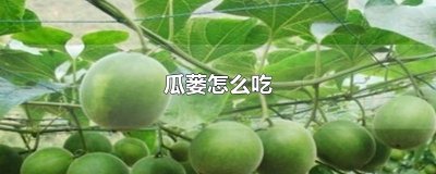 ​瓜蒌怎么吃