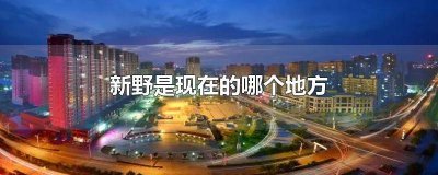 ​新野属于哪里? 新野现在叫什么