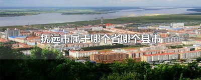 ​抚远市属于哪个省哪个县市