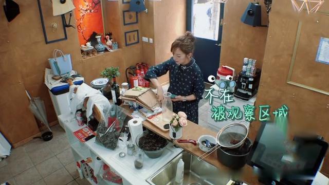 回忆杀！时隔20年，张铁林苏有朋赵薇再聚首！燕子阿玛激动相拥