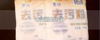 ​去污粉的成分